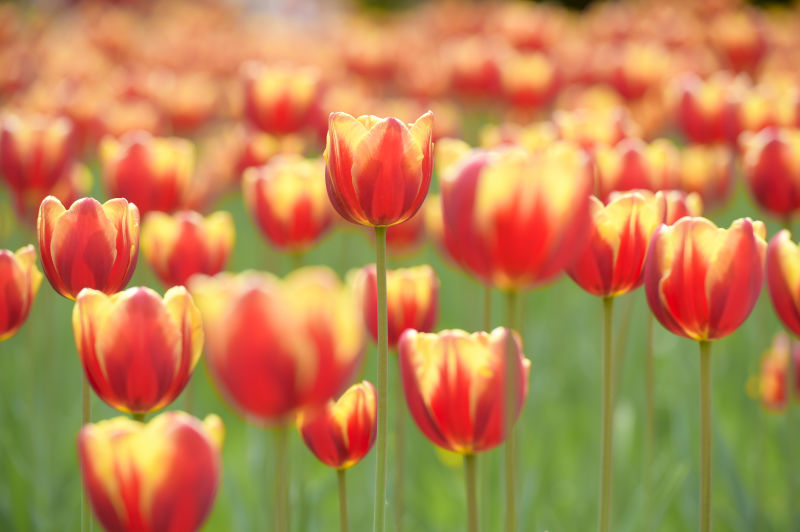 20160428143334869935